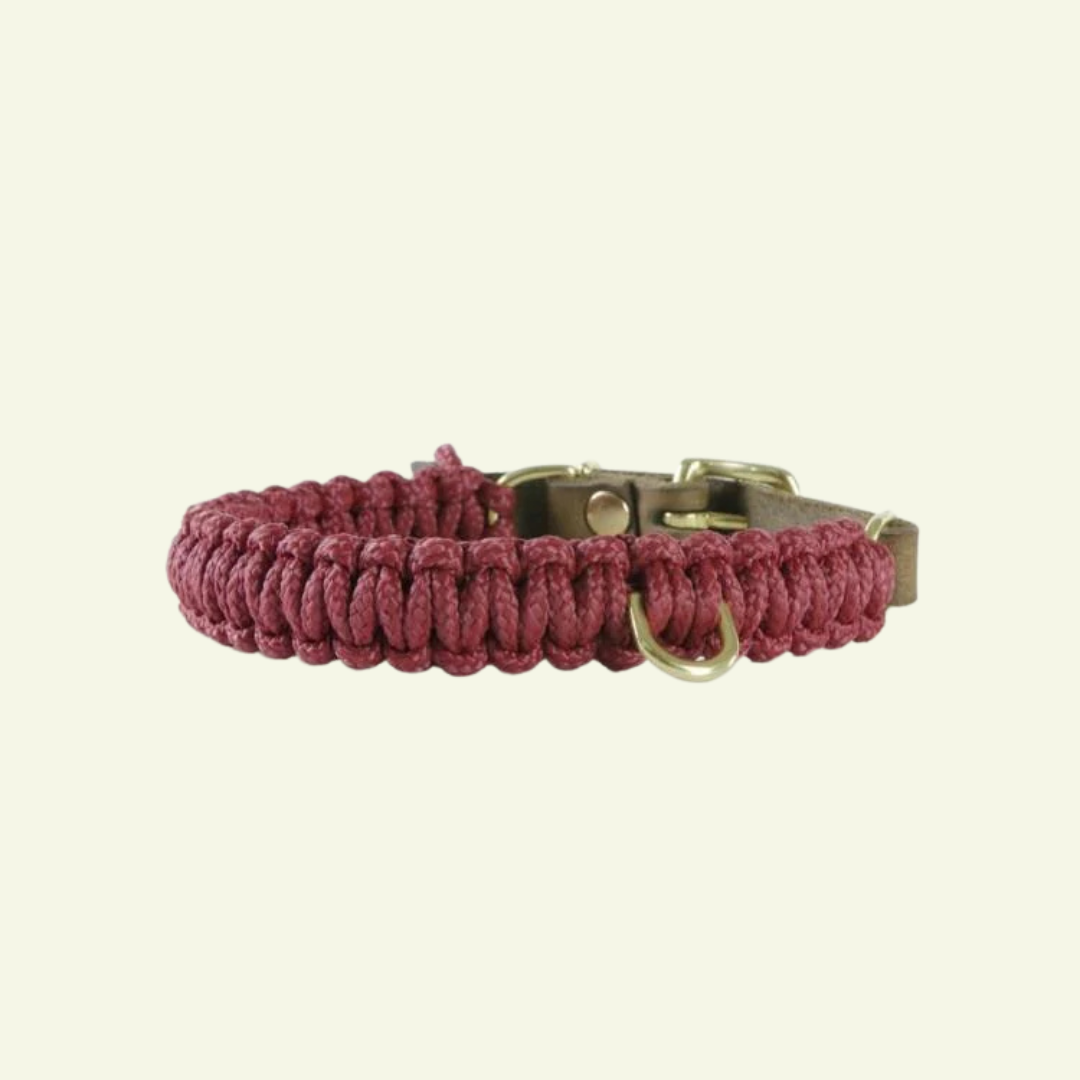 Touch | Collier pour chien en corde et cuir – Finition laiton ou acier (9 coloris) - Jean - Poil - Bordeaux