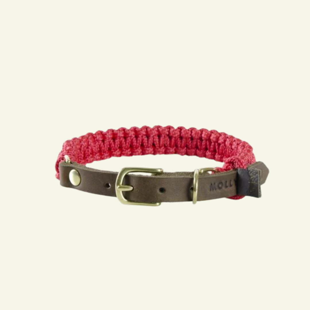 Touch | Collier pour chien en corde et cuir – Finition laiton ou acier (9 coloris) - Jean - Poil - Rouge