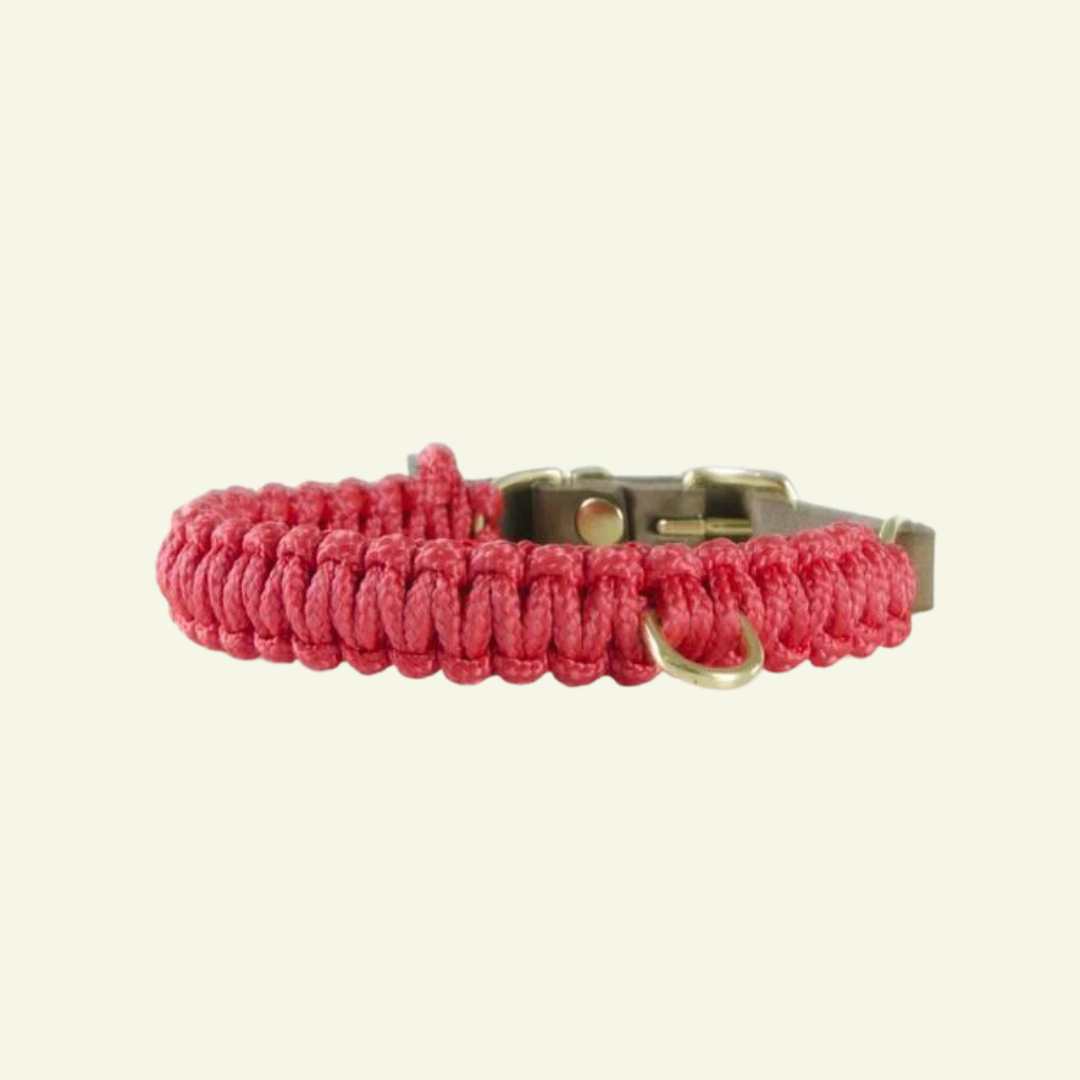 Touch | Collier pour chien en corde et cuir – Finition laiton ou acier (9 coloris) - Jean - Poil - Rouge
