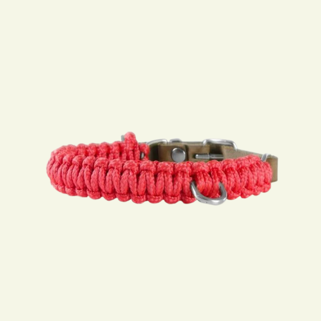 Touch | Collier pour chien en corde et cuir – Finition laiton ou acier (9 coloris) - Jean - Poil - Rouge