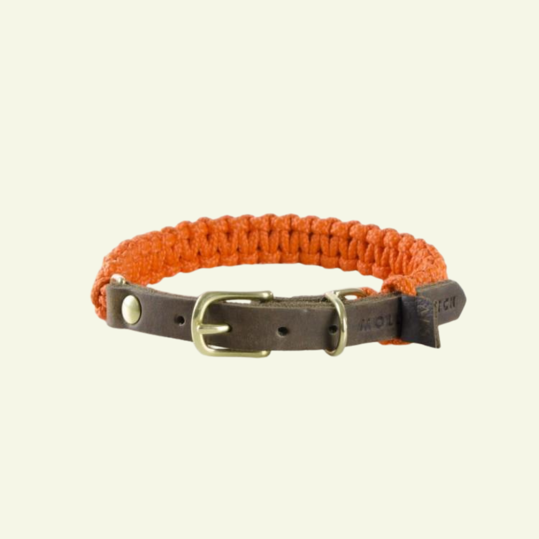 Touch | Collier pour chien en corde et cuir – Finition laiton ou acier (9 coloris) - Jean - Poil - Orange