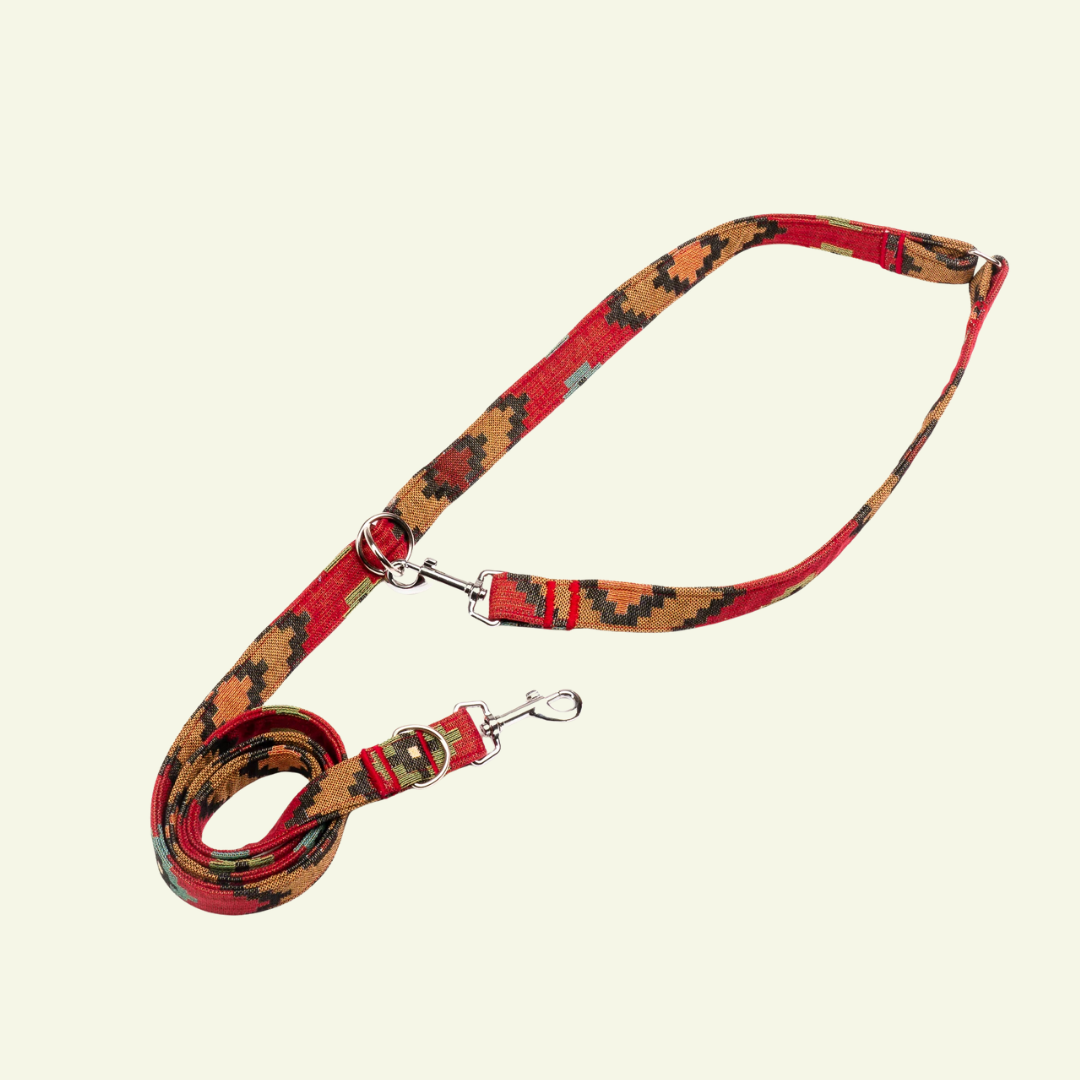 Telmo | Laisse pour chien motif graphique , ville & multipositions, fait main - Jean - Poil - Rouge