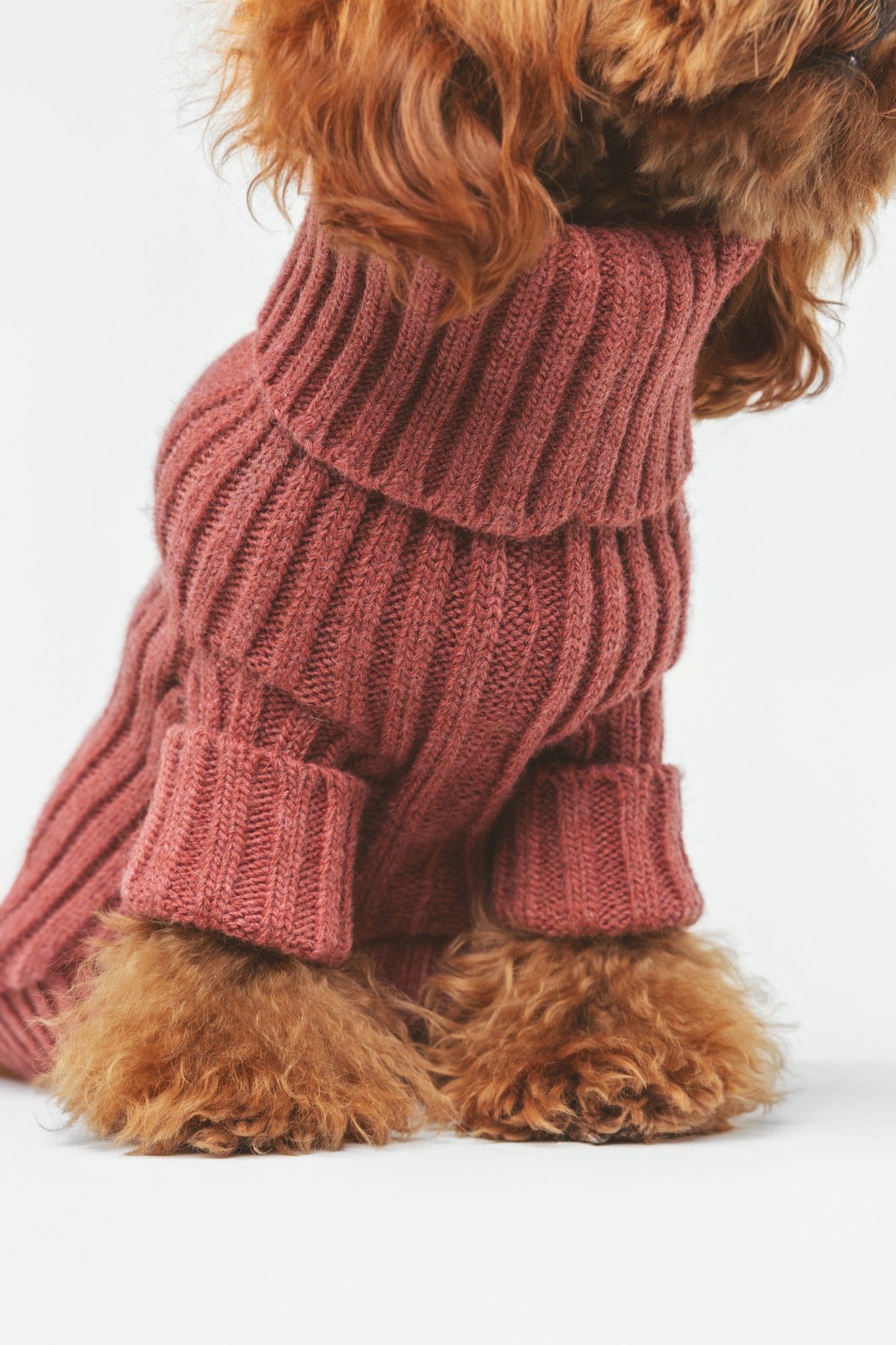 Argile | Pull pour chien rouge brique - chaud & élégant - Jean - Poil - XS