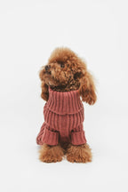 Argile | Pull pour chien rouge brique - chaud & élégant - Jean - Poil - XS