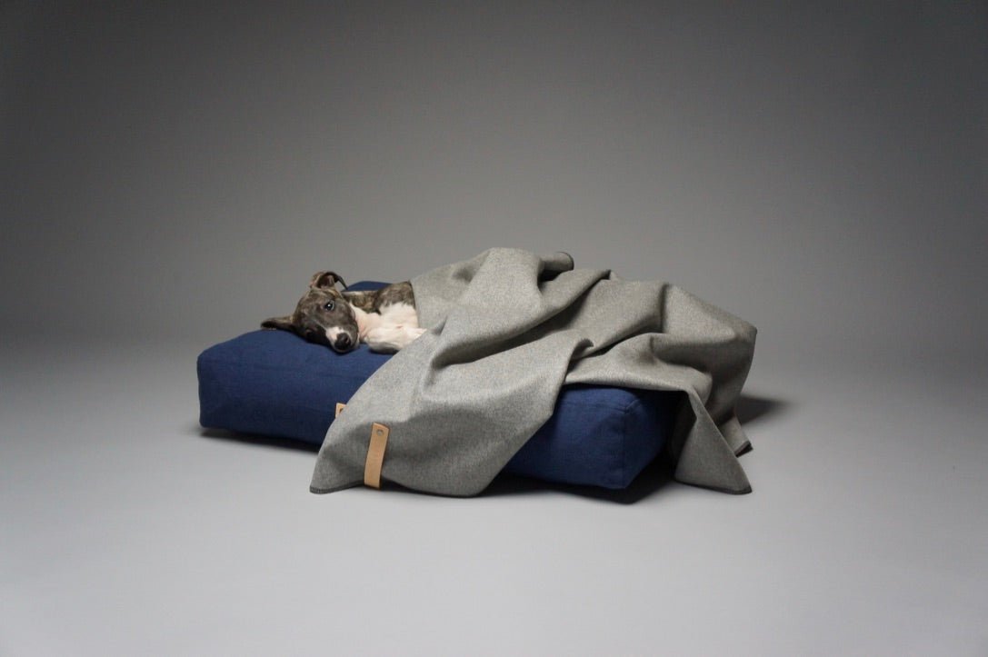 Asnen | Couverture en laine naturelle chaude et élégante pour chien - Jean - Poil - Gris
