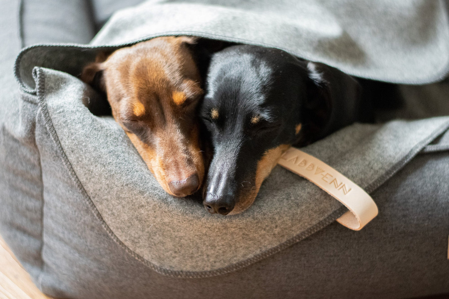 Asnen | Couverture en laine naturelle chaude et élégante pour chien - Jean - Poil - Gris