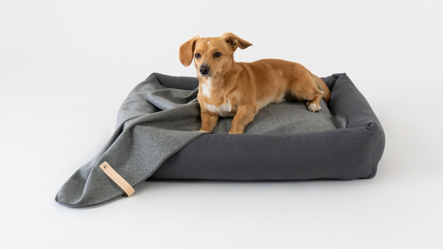Asnen | Couverture en laine naturelle chaude et élégante pour chien - Jean - Poil - Gris