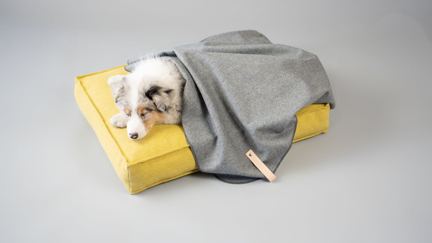 Asnen | Couverture en laine naturelle chaude et élégante pour chien - Jean - Poil - Gris