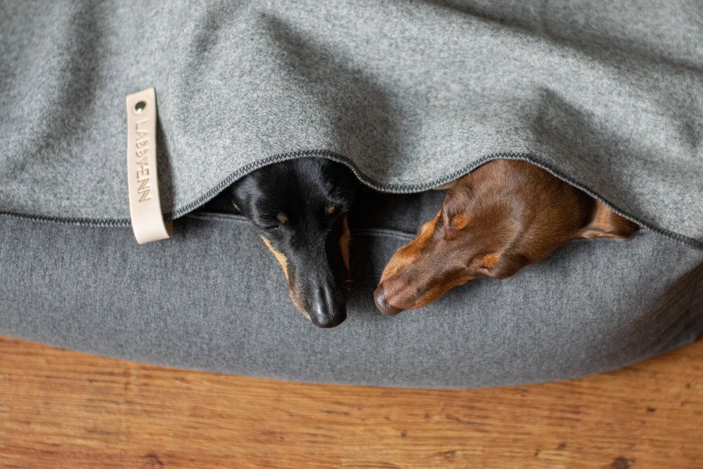 Asnen | Couverture en laine naturelle chaude et élégante pour chien - Jean - Poil - Gris