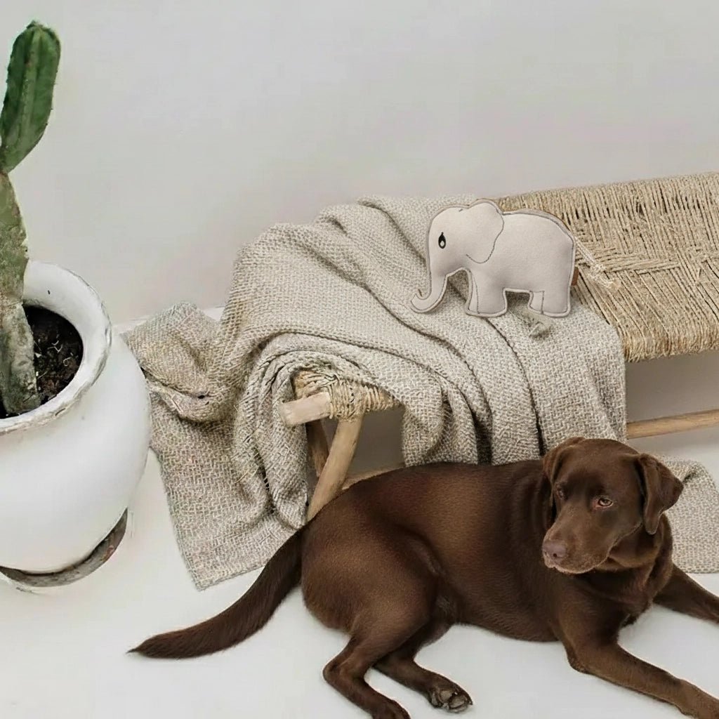 Babar | Jouet pour chien en chutes de cuir et fibre de coco. - Jean - Poil - 