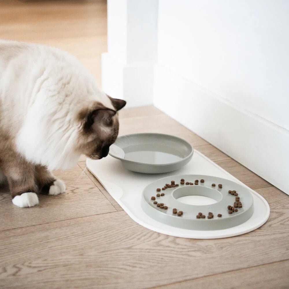 Base | Set de table antidérapant en silicone pour chat - Jean - Poil - Rose