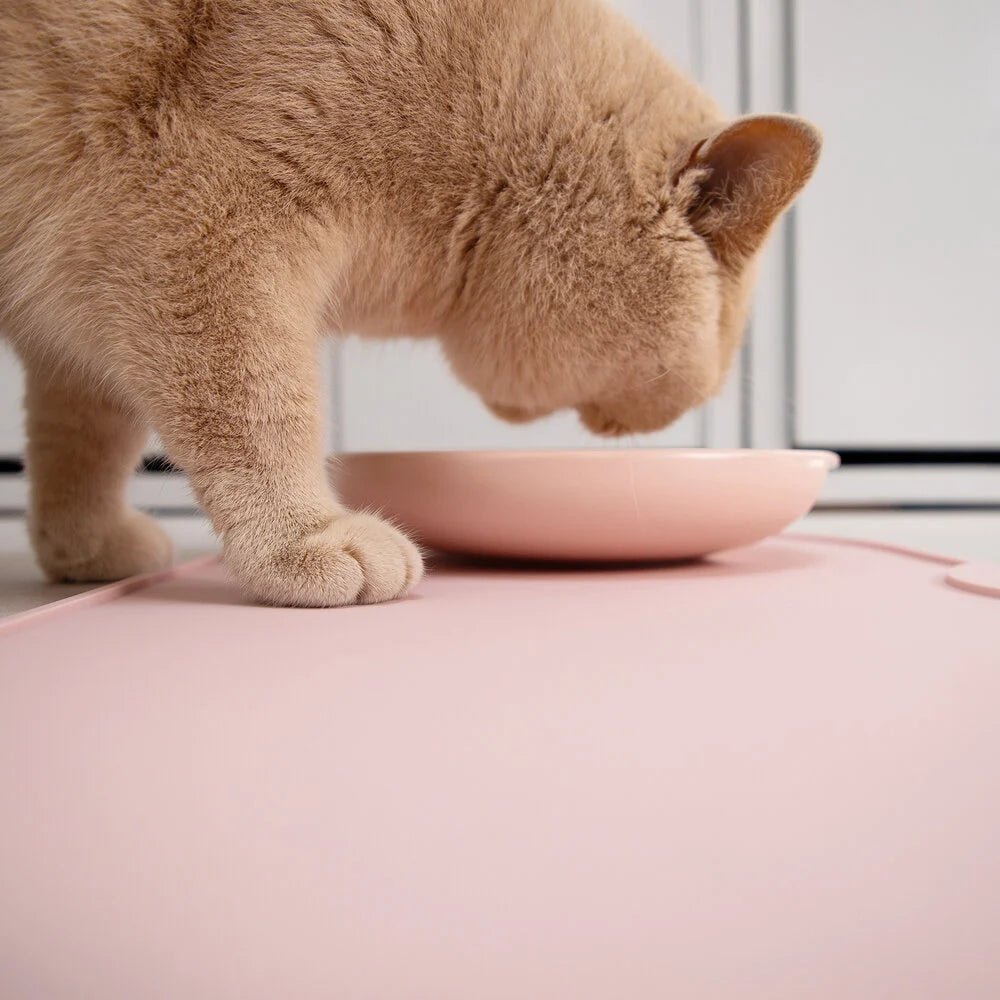 Base | Set de table antidérapant en silicone pour chat - Jean - Poil - Rose