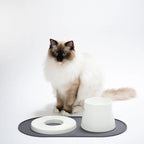 Base | Set de table antidérapant en silicone pour chat - Jean - Poil - Rose