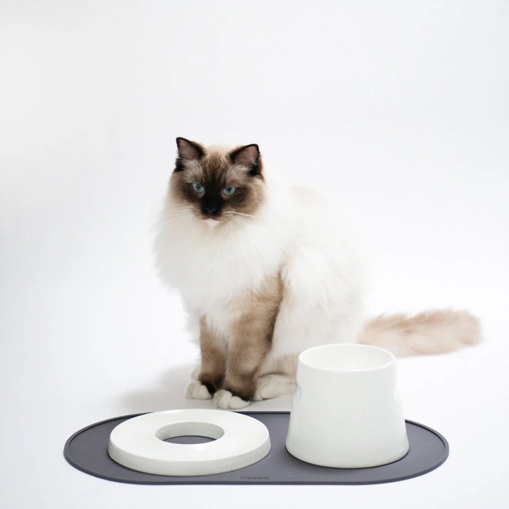 Base | Set de table antidérapant en silicone pour chat - Jean - Poil - Rose