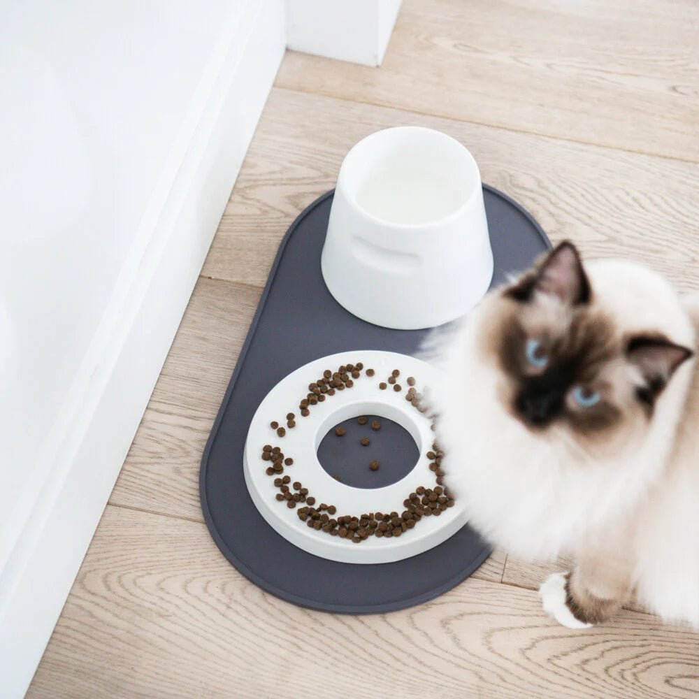 Base | Set de table antidérapant en silicone pour chat - Jean - Poil - Rose