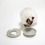 Base | Set de table antidérapant en silicone pour chat - Jean - Poil - Rose