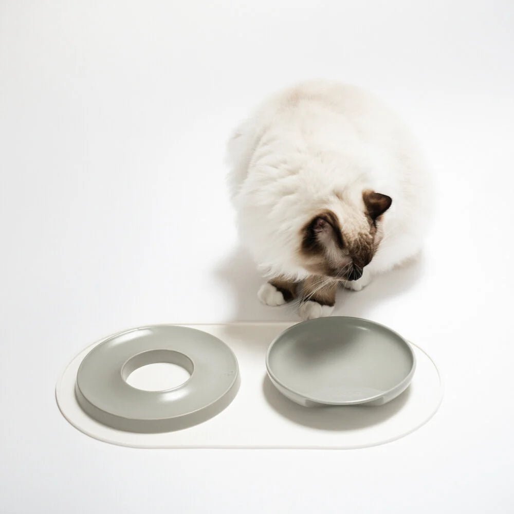 Base | Set de table antidérapant en silicone pour chat - Jean - Poil - Rose