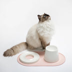 Base | Set de table antidérapant en silicone pour chat - Jean - Poil - Rose
