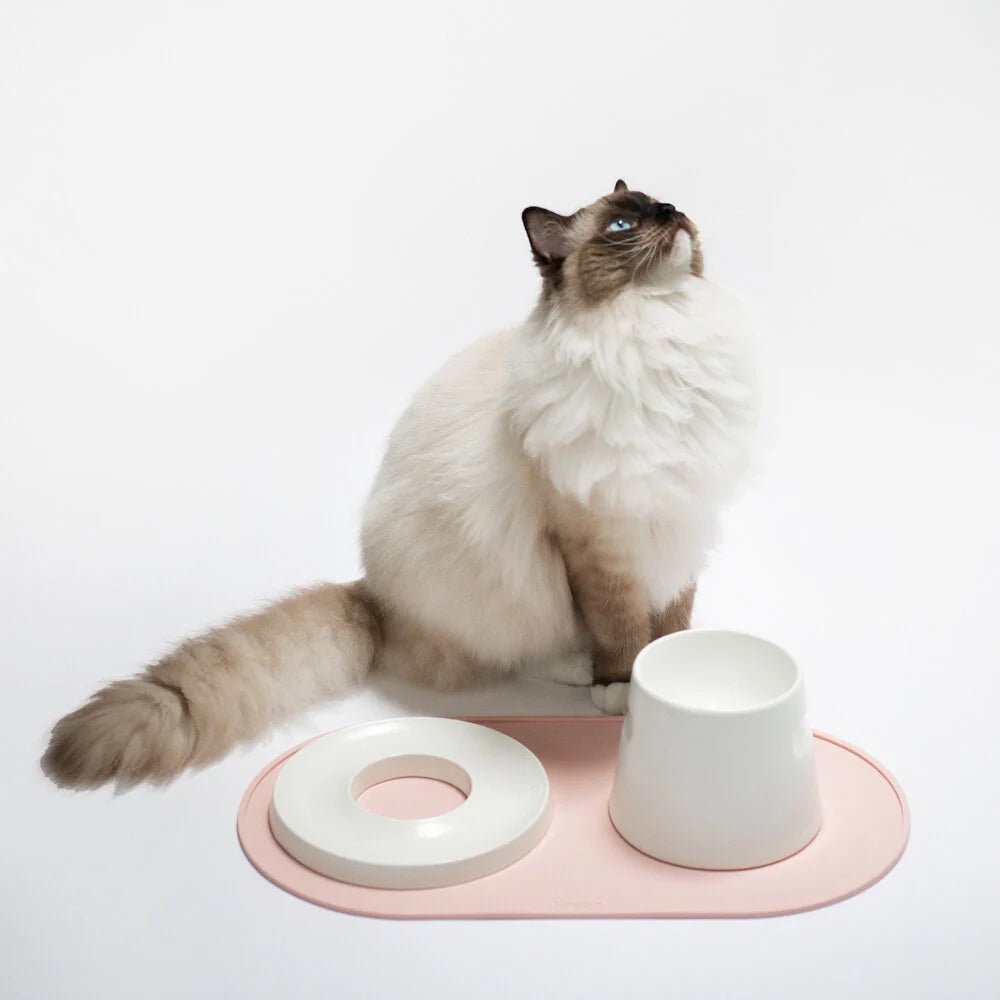 Base | Set de table antidérapant en silicone pour chat - Jean - Poil - Rose