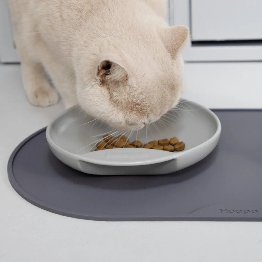Base | Set de table antidérapant en silicone pour chat - Jean - Poil - Rose