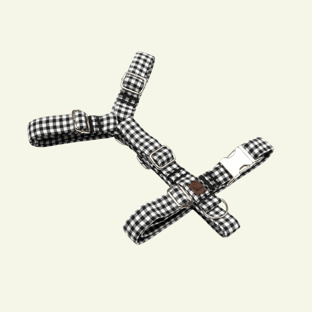 Basic | Harnais en H pour chien fermoir en tissu vichy fait main - Jean-Poil - Noir