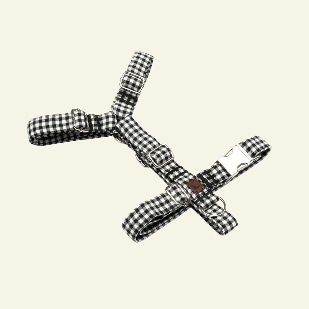 Basic | Harnais en H pour chien fermoir en tissu vichy fait main - Jean-Poil - Noir