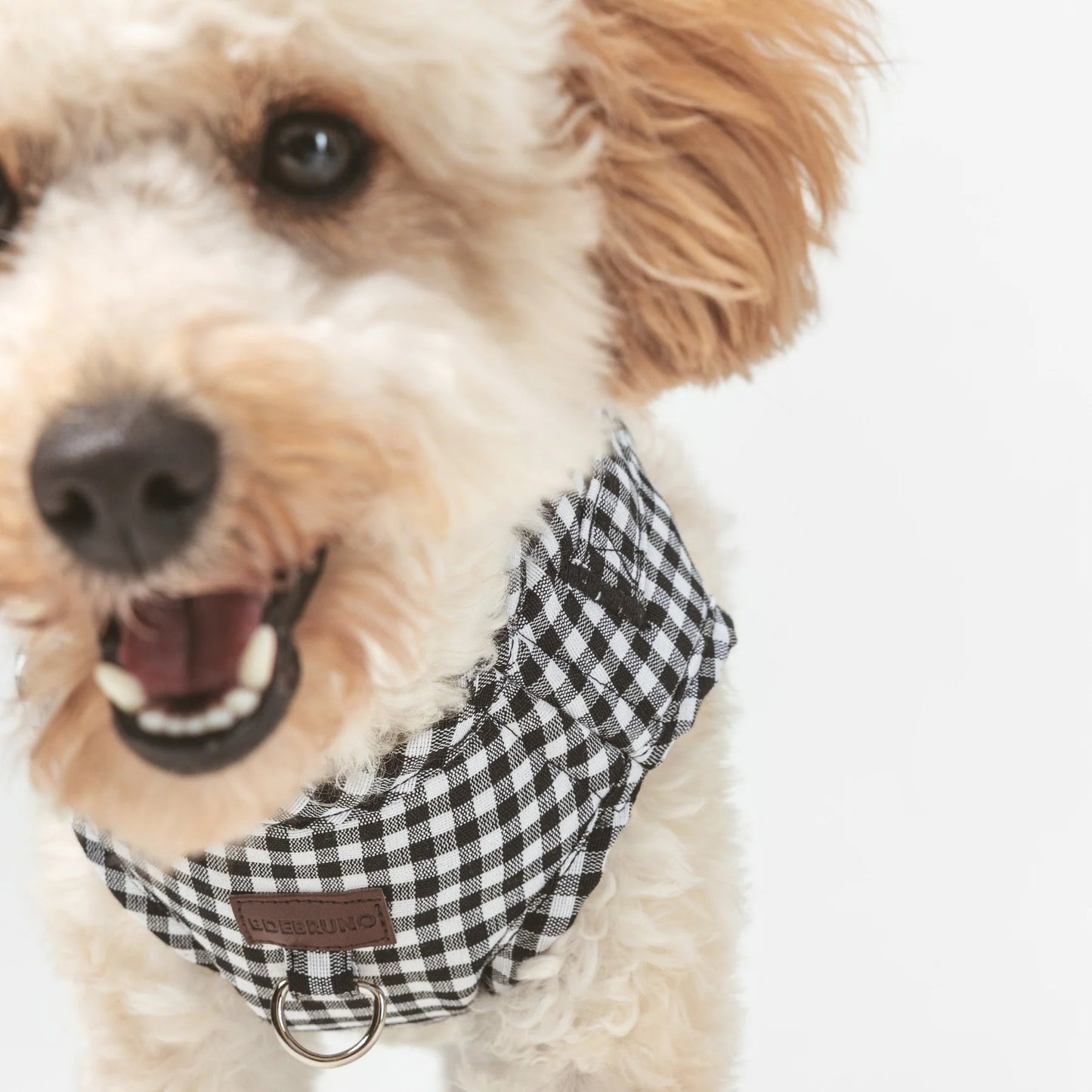 Basic | Harnais wrap pour chien en tissu vichy fait main - Jean-Poil - Noir
