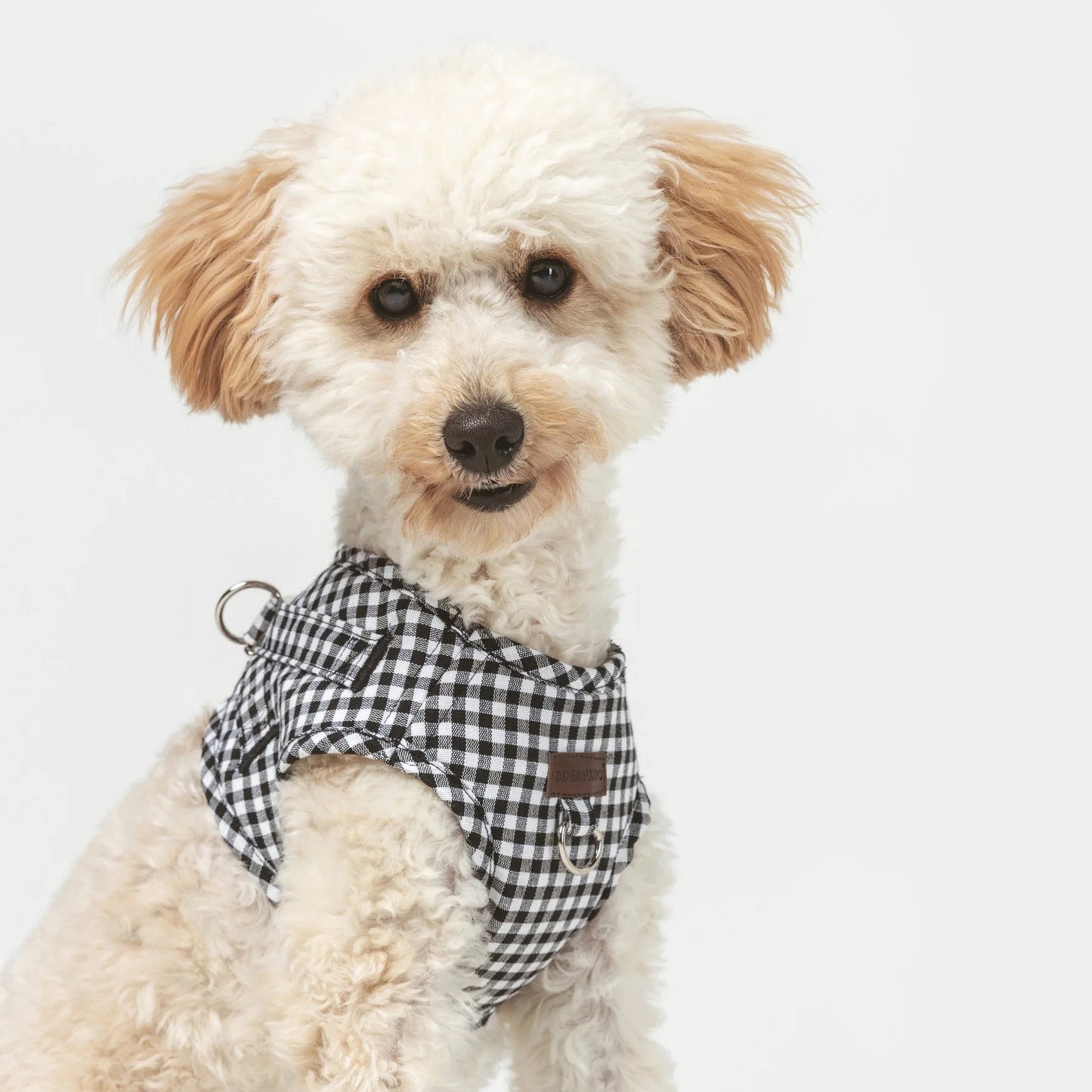 Basic | Harnais wrap pour chien en tissu vichy fait main - Jean-Poil - Noir