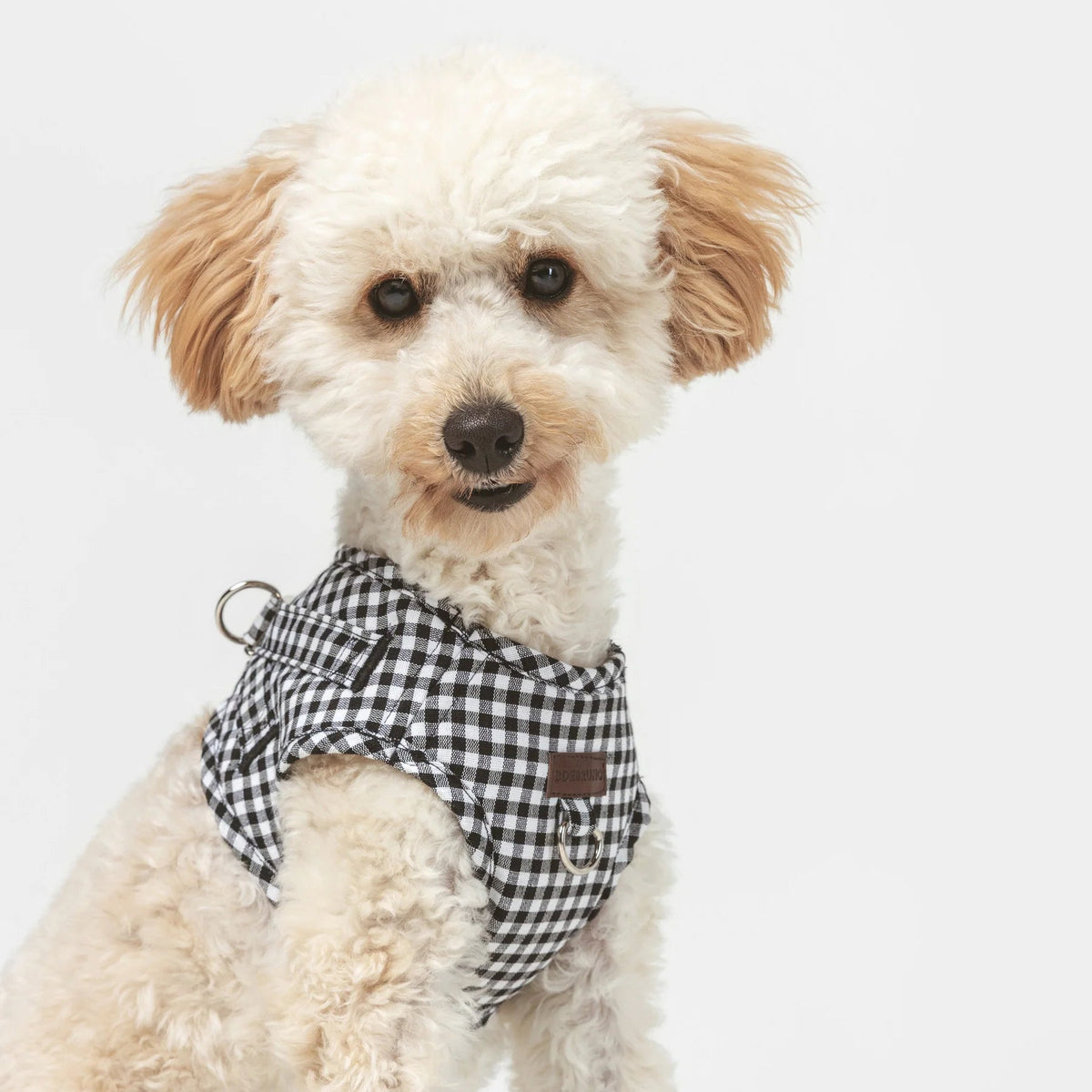 Basic | Harnais wrap pour chien en tissu vichy fait main - Jean-Poil - Noir
