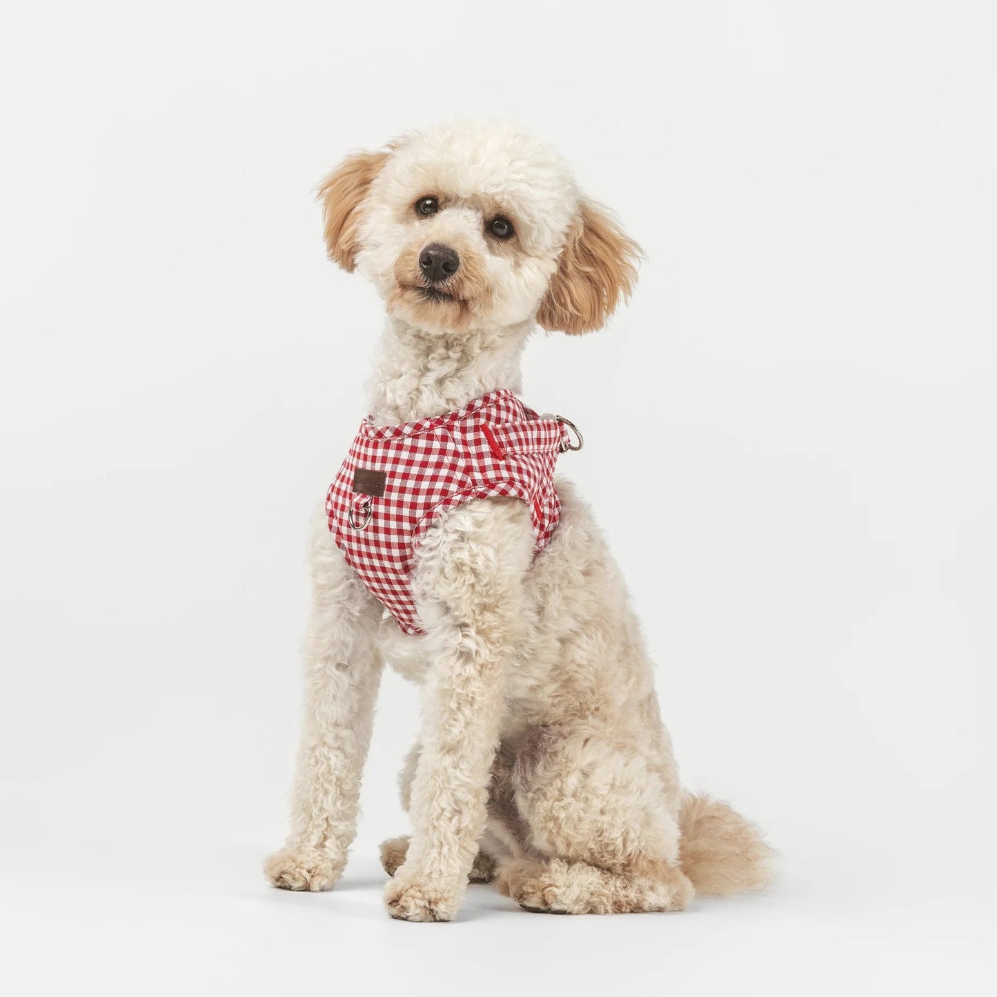 Basic | Harnais wrap pour chien en tissu vichy fait main - Jean-Poil - Rouge