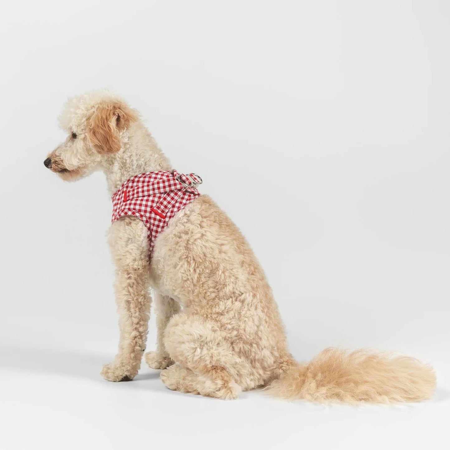 Basic | Harnais wrap pour chien en tissu vichy fait main - Jean-Poil - Rouge