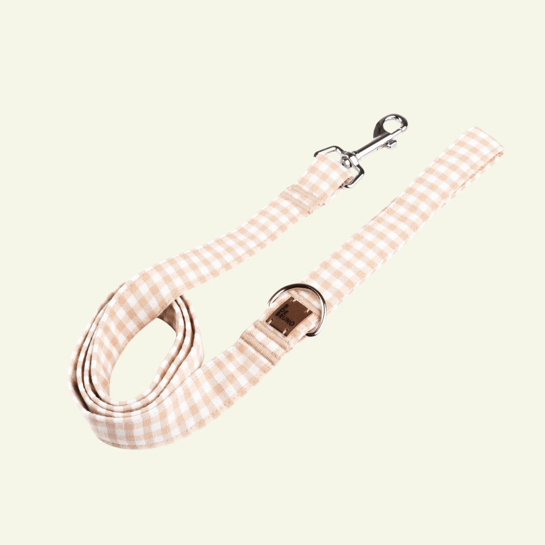 Basic | Laisse pour chien en tissu vichy – Ville & Multipositions, fait main - Jean-Poil - Beige