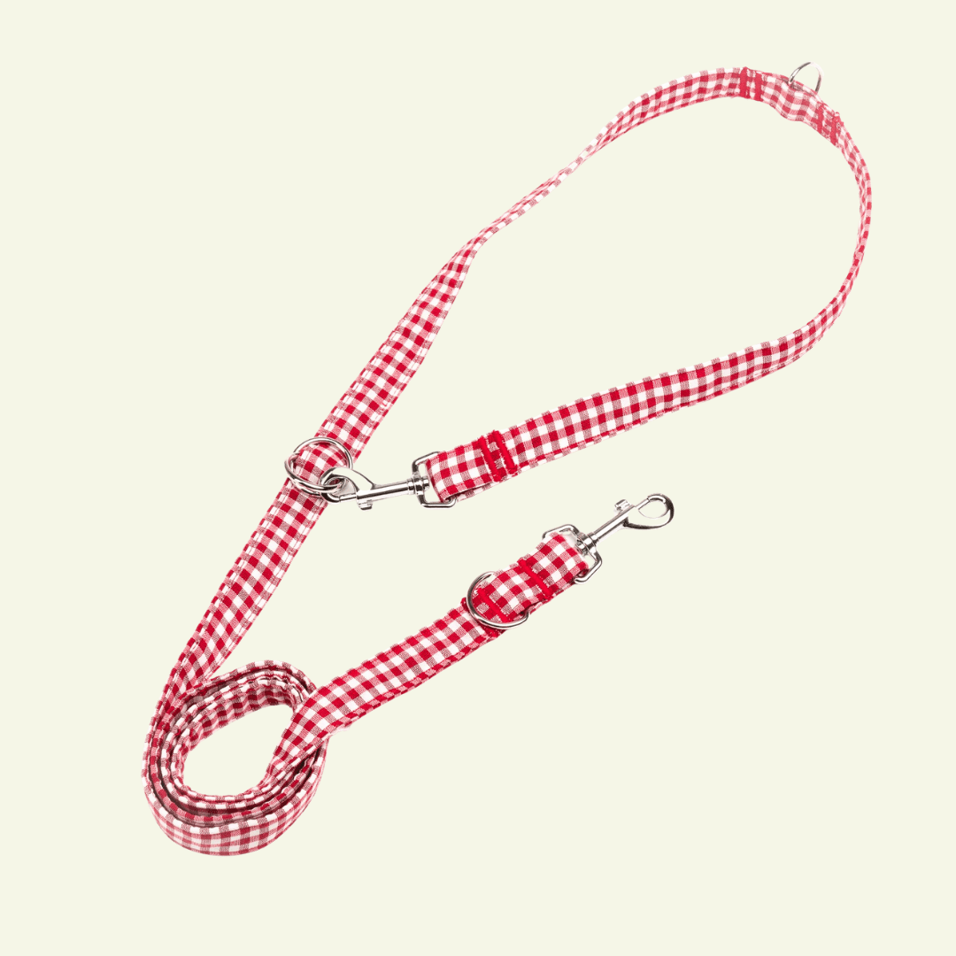 Basic | Laisse pour chien en tissu vichy – Ville & Multipositions, fait main - Jean-Poil - Rouge