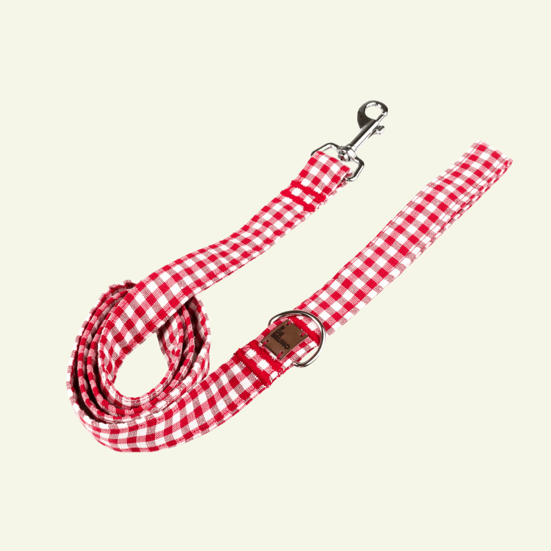 Basic | Laisse pour chien en tissu vichy – Ville & Multipositions, fait main - Jean-Poil - Rouge