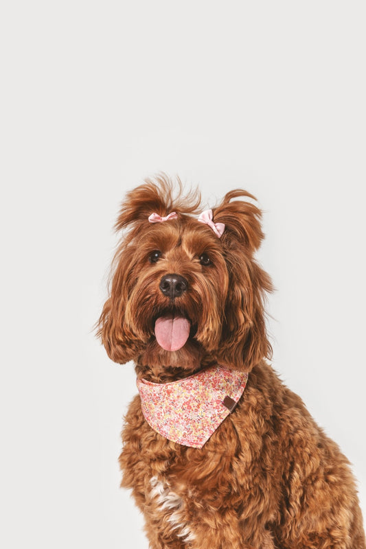 Blossom | Bandana pour chien à motif floral, fait main - Jean - Poil - S