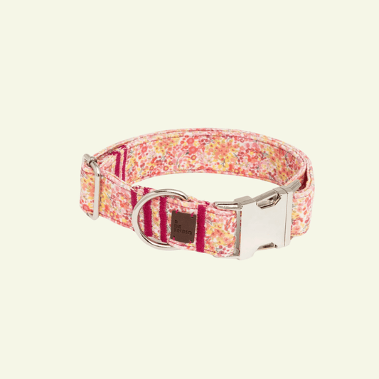 Blossom | Collier pour chien à motif floral, fait main - Jean - Poil - 2XS