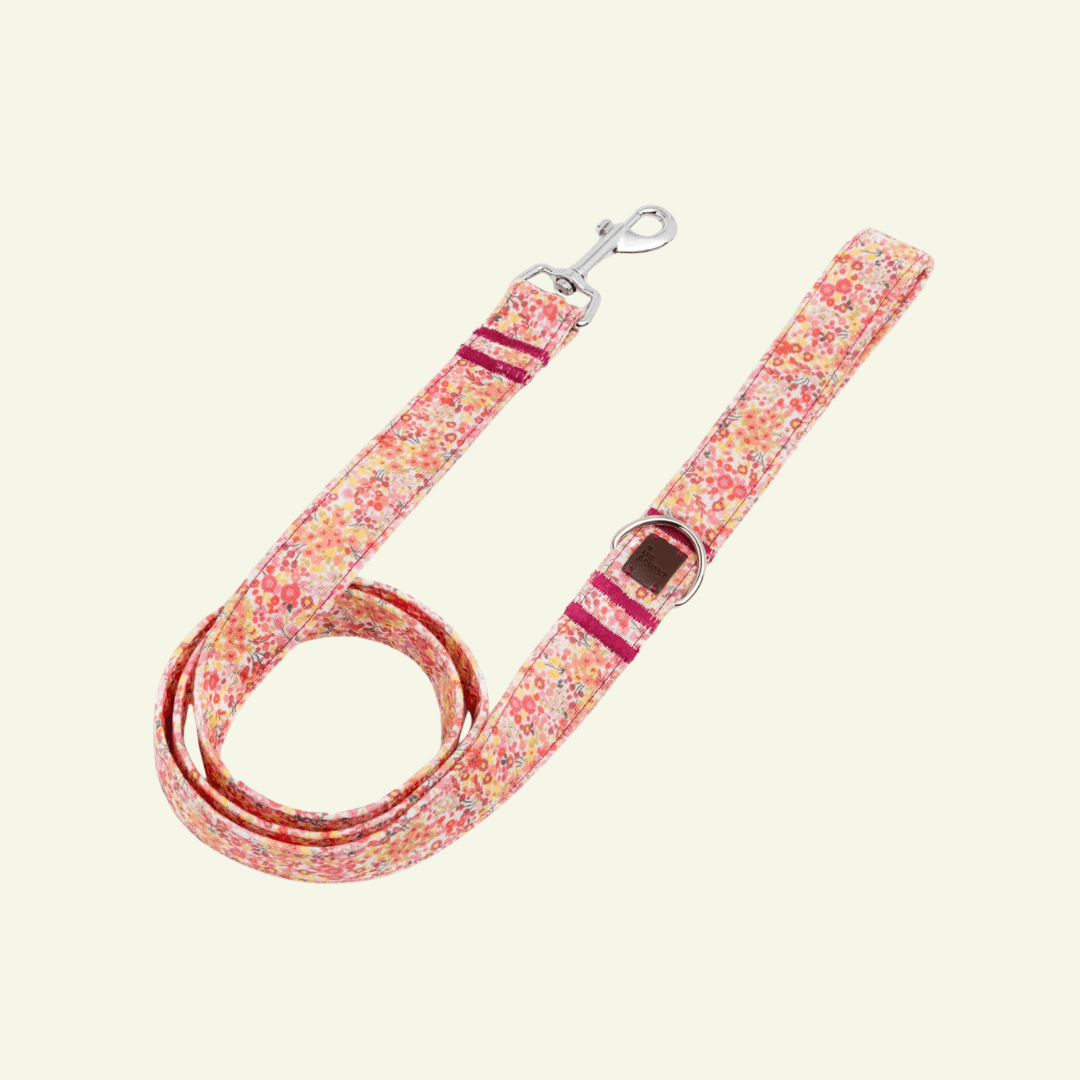 Blossom | Laisse pour chien à motif floral, ville & multipositions, fait main - Jean - Poil - XS