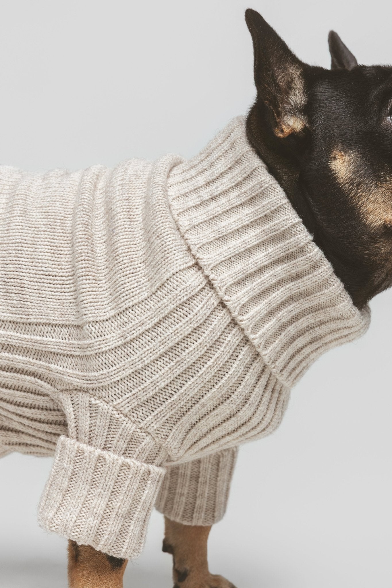 Bone| Pull pour chien blanc cassé - doux & confortable - Jean - Poil - XS