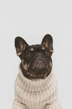 Bone| Pull pour chien blanc cassé - doux & confortable - Jean - Poil - XS