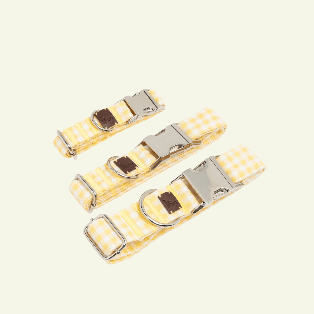 Bouton d'or | Collier pour chien à carreaux jaunes, fait main - Jean - Poil - 2XS