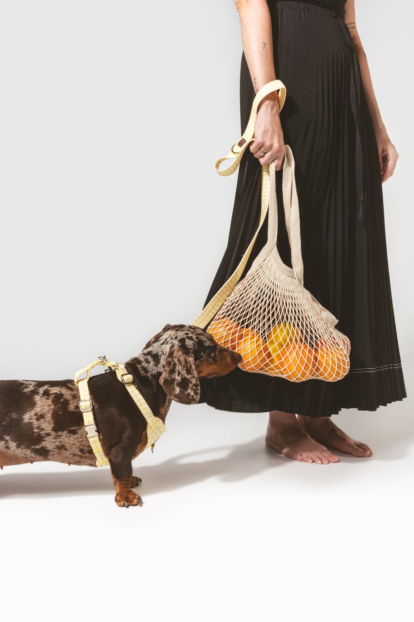 Bouton d'or | Harnais de poitrine pour chien à carreaux jaunes, fait main - Jean - Poil - XS