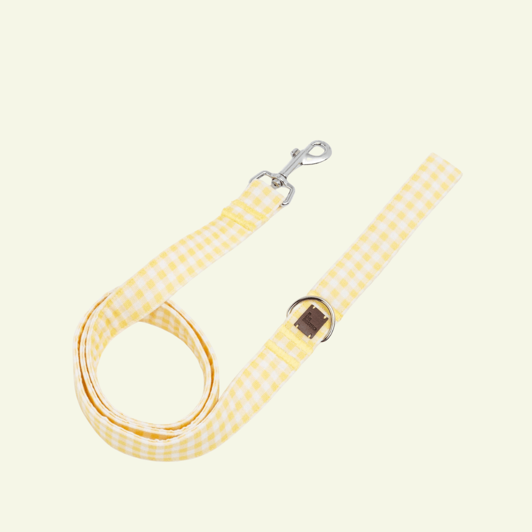 Bouton d'or | Laisse pour chat à carreaux jaunes, ville & multipositions, fait main - Jean - Poil - XS