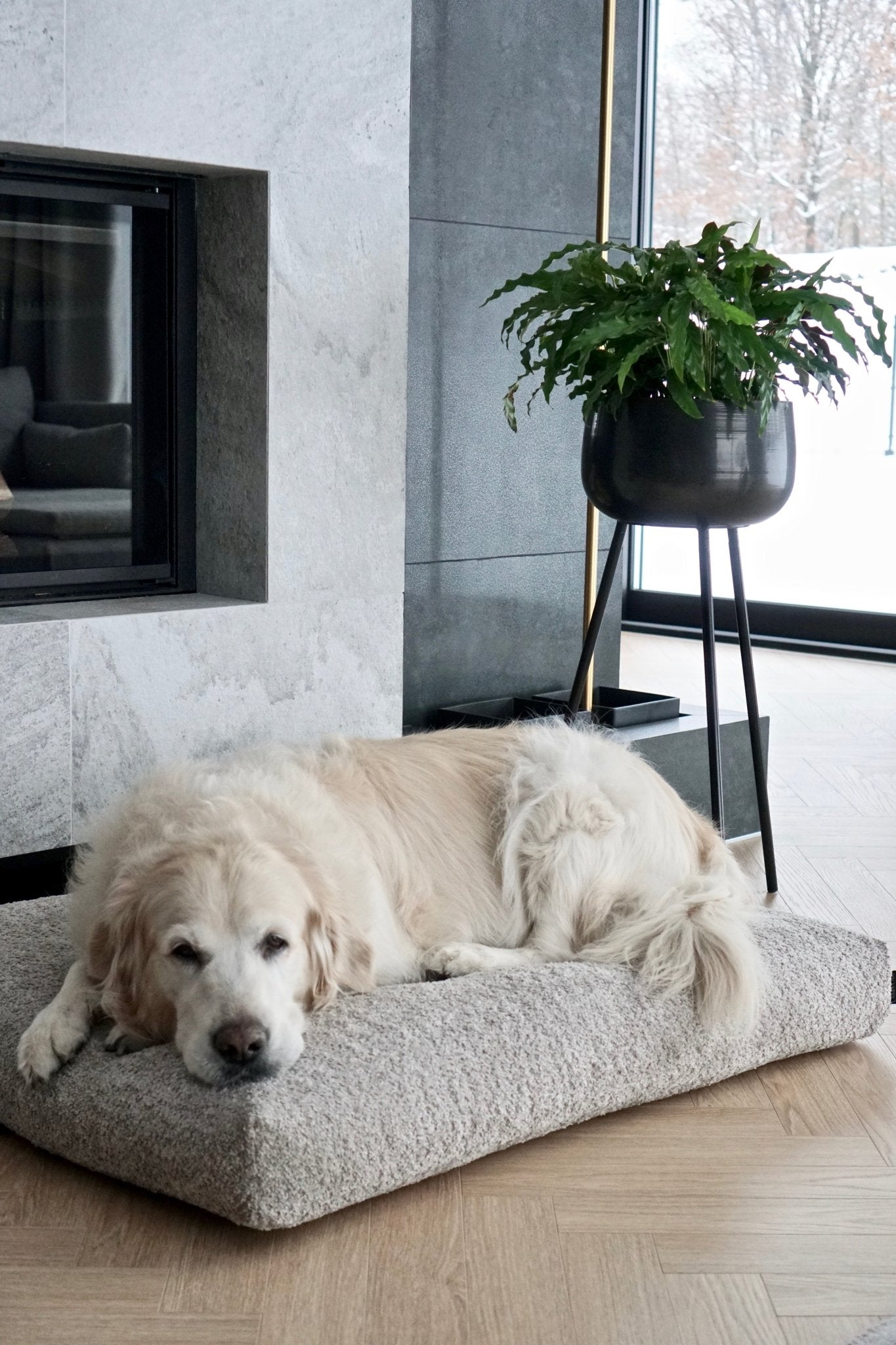 Buklaa | Coussin orthopédique pour chien en bouclette - Jean - Poil - Beige