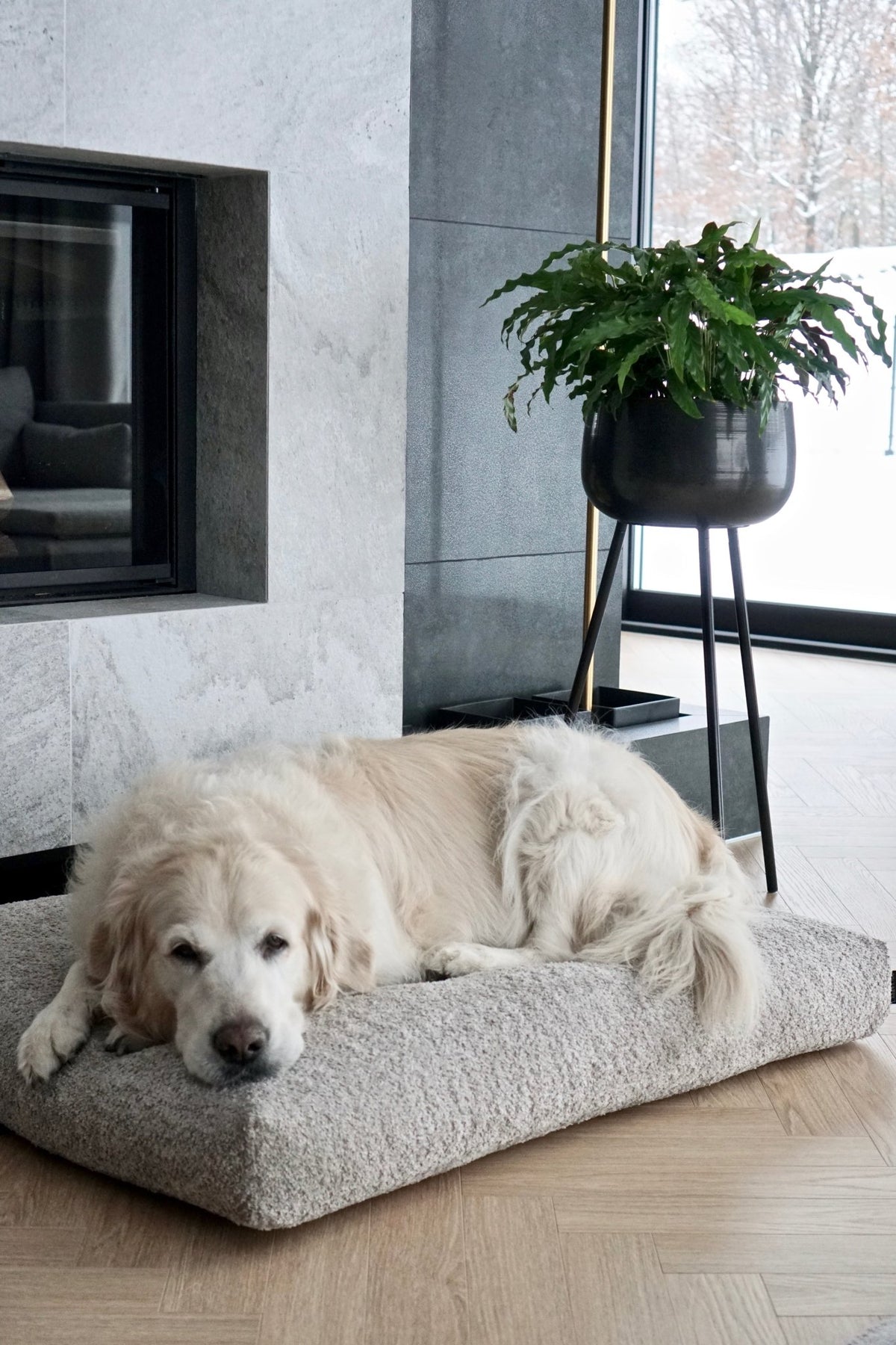 Buklaa | Coussin orthopédique pour chien en bouclette - Jean - Poil - Beige
