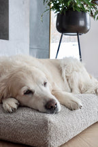 Buklaa | Coussin orthopédique pour chien en bouclette - Jean - Poil - Beige