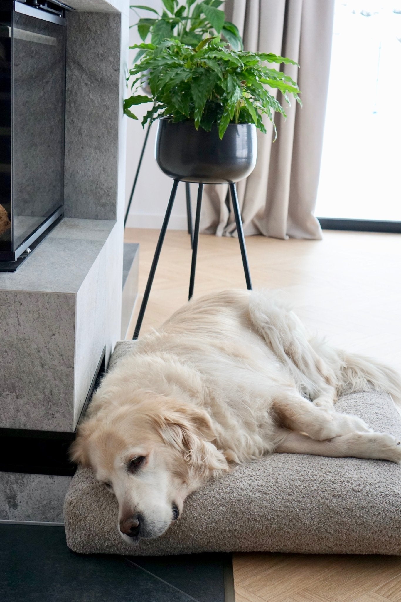 Buklaa | Coussin orthopédique pour chien en bouclette - Jean - Poil - Beige