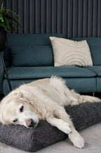 Buklaa | Coussin orthopédique pour chien en bouclette - Jean - Poil - Beige