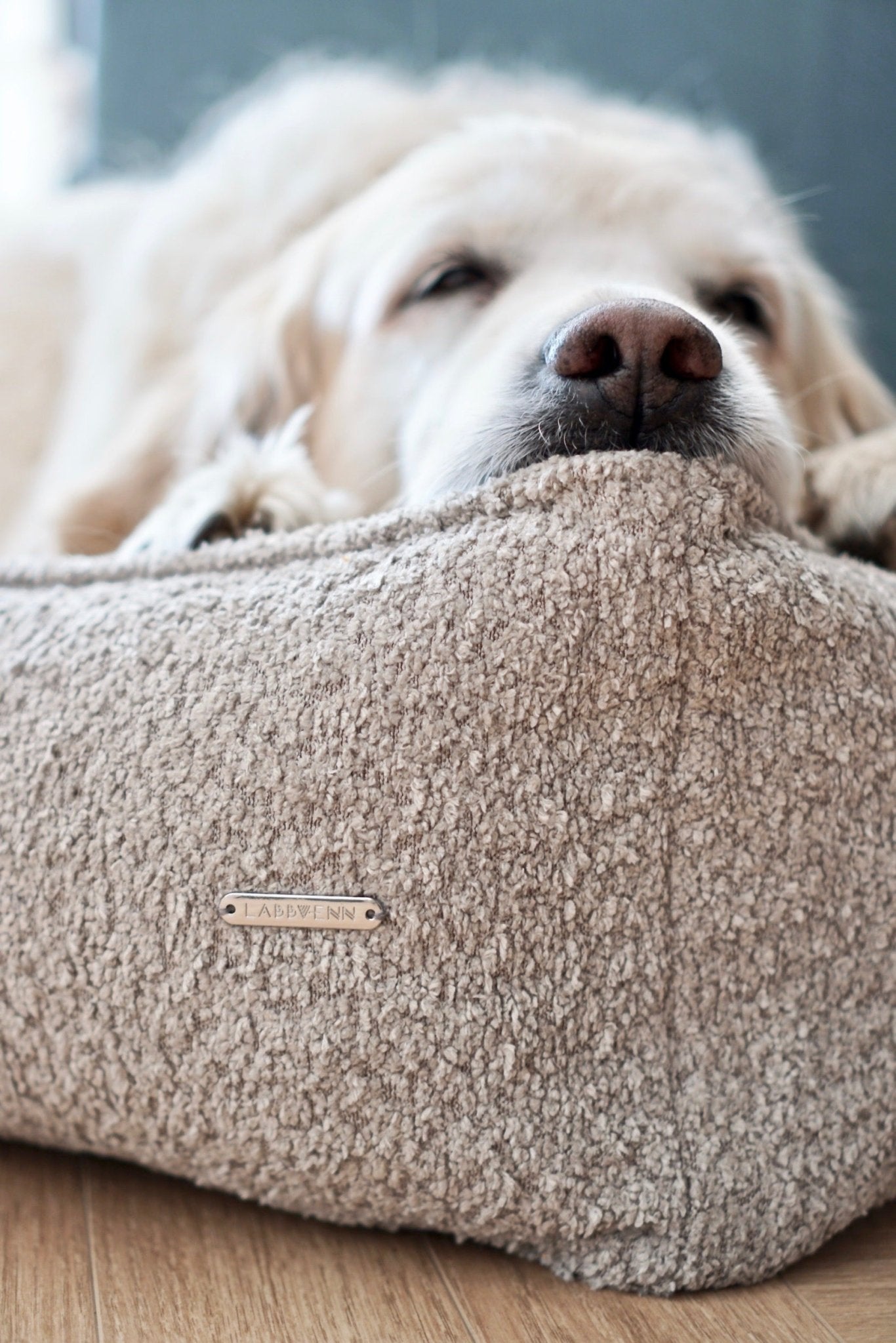Buklaa | Panier pour chien en bouclette orthopédique, housse amovible - Jean - Poil - Beige