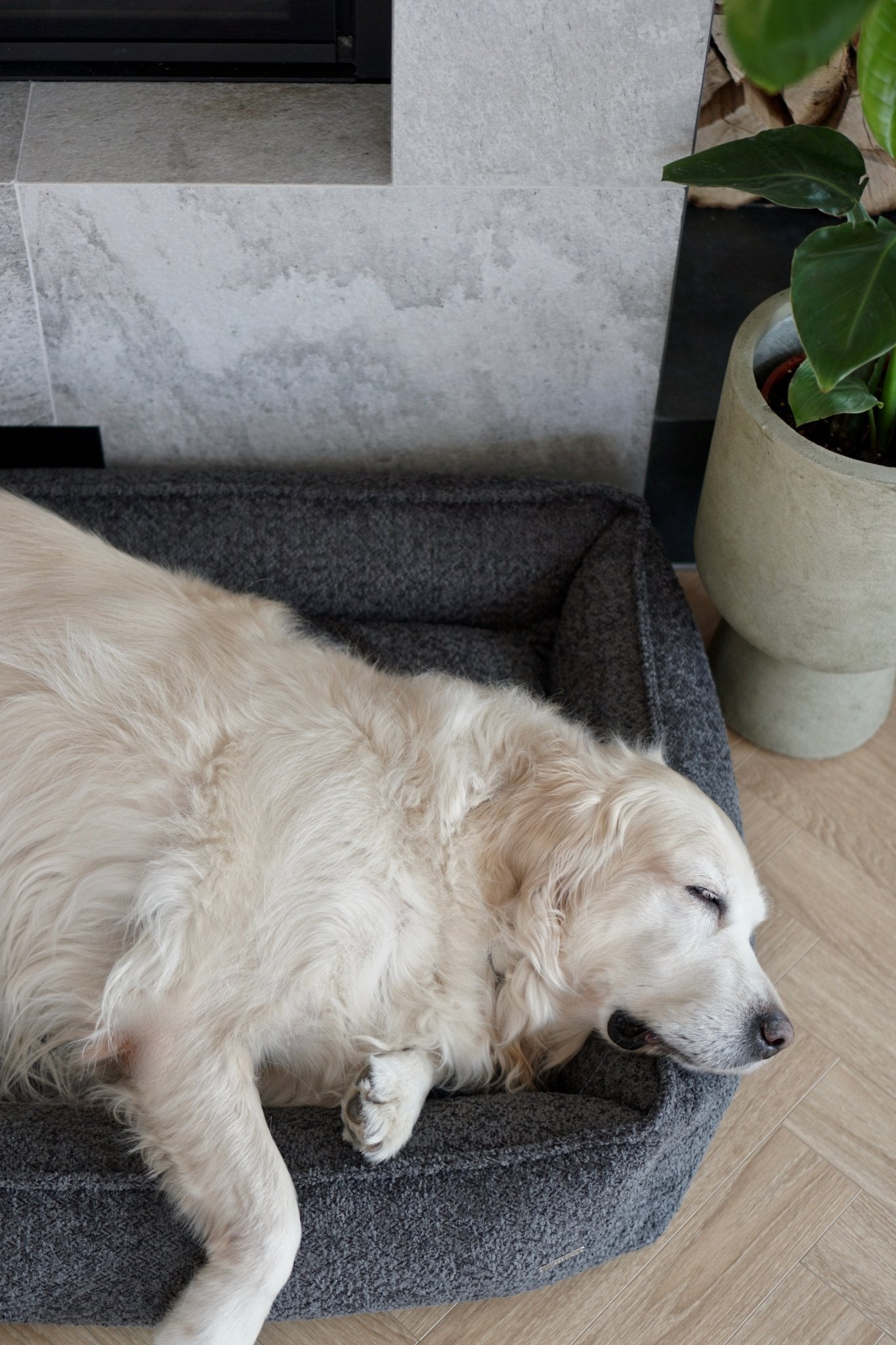 Buklaa | Panier pour chien en bouclette orthopédique, housse amovible - Jean - Poil - Beige