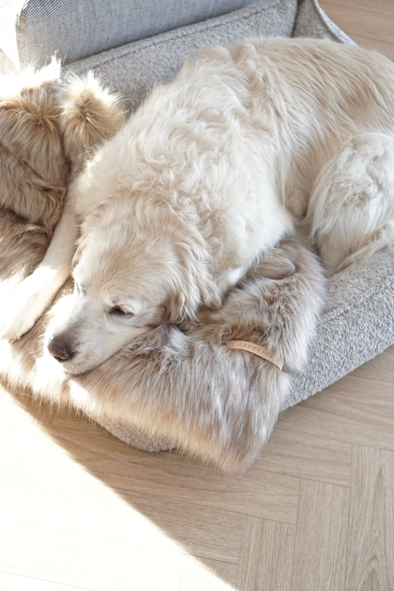 Buklaa | Panier pour chien en bouclette orthopédique, housse amovible - Jean - Poil - Beige